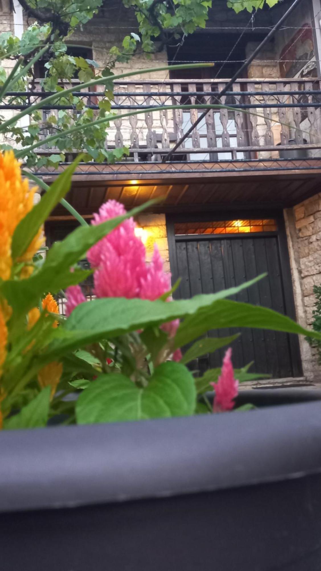 Guesthouse Selini Vitsa Ngoại thất bức ảnh
