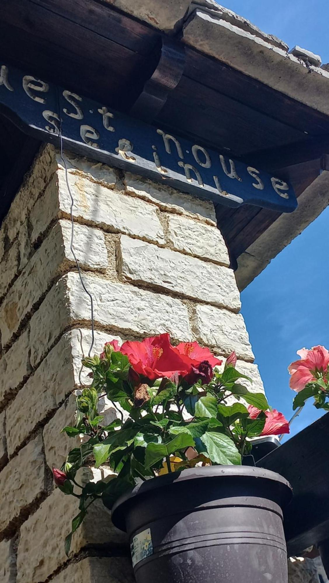 Guesthouse Selini Vitsa Ngoại thất bức ảnh