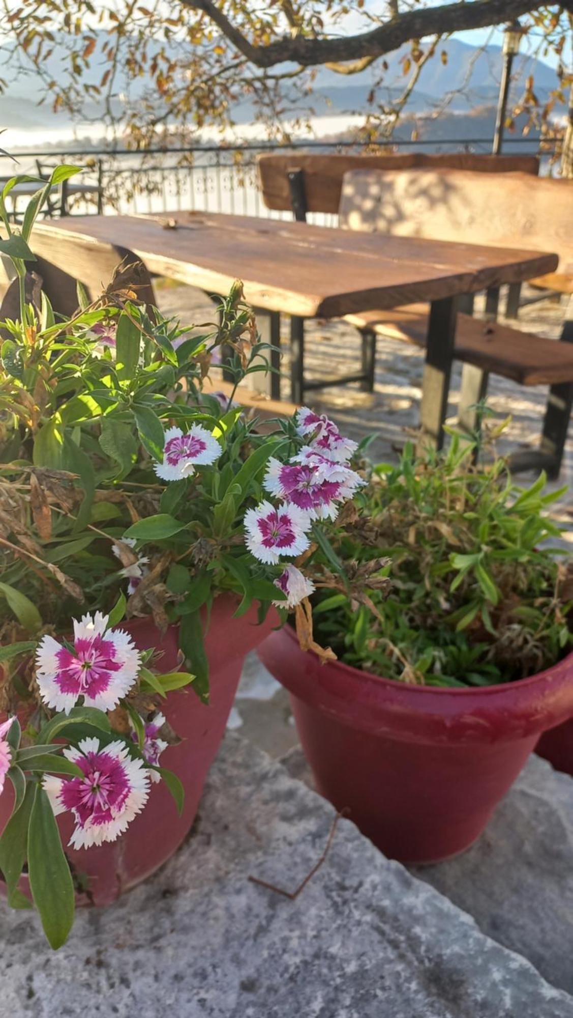 Guesthouse Selini Vitsa Ngoại thất bức ảnh